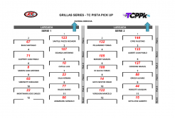 Grilla para las series