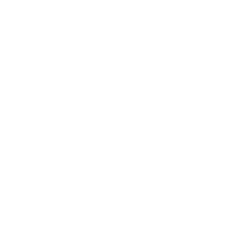 Marca del auto